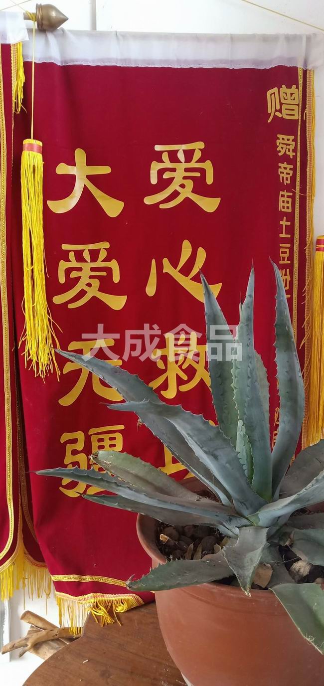 爱心救助
